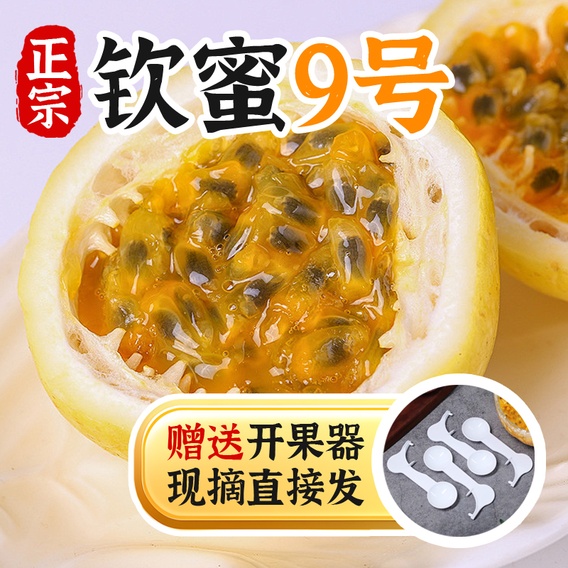 【源头直发】钦蜜9号百香果香甜好吃汁水丰裕果肉饱满现摘新鲜现摘