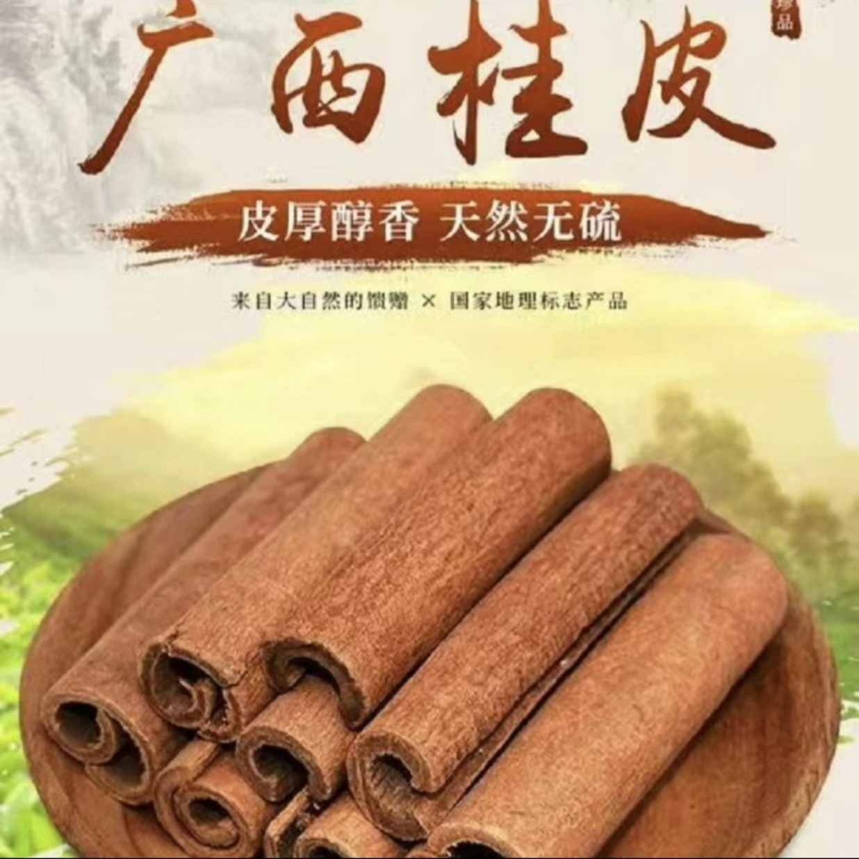 【醇厚回甘】广西足干肉桂/桂皮/精品醇香/香料100g250g