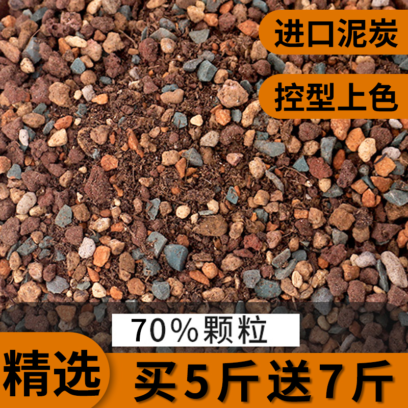 【买五斤送七斤】多肉颗粒土专用营养土配方疏松透气有机发根思威博