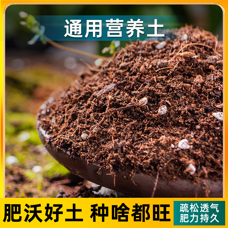 通用型适用泥炭营养土大包栽花种菜土育苗多肉专用土绿植土有机土