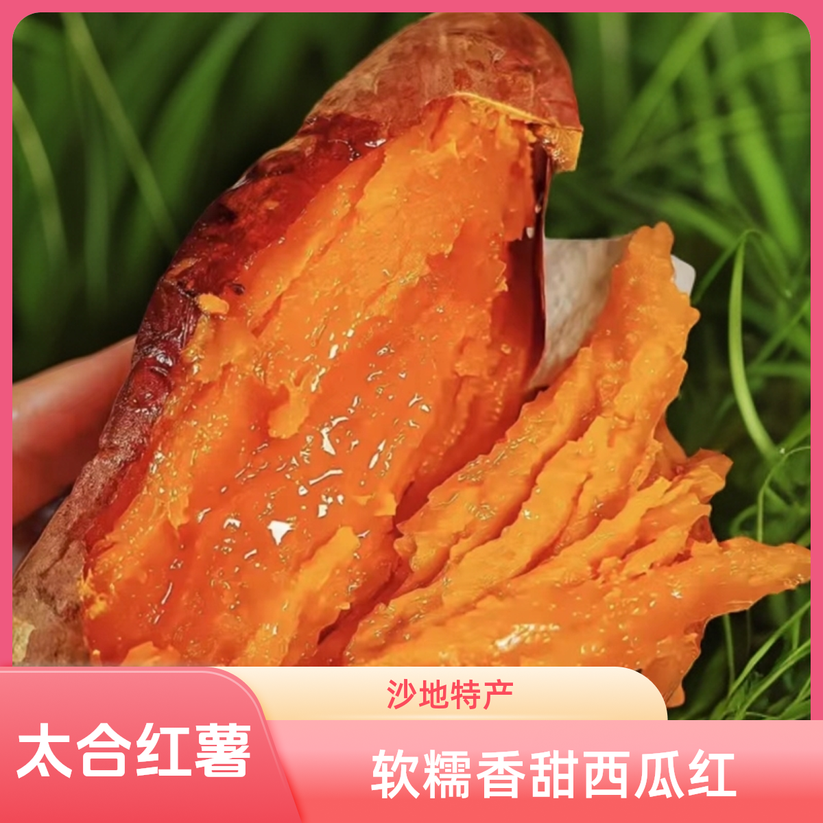 【太合自营】山东沙土地西瓜红蜜薯粉糯香甜红心糖心现挖现发