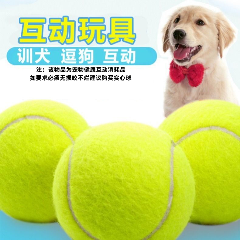 狗狗玩具球金毛泰迪互动训犬拉布拉多小狗磨牙逗狗宠物玩具网球