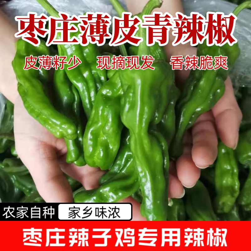 枣庄薄皮青辣椒 皱皮辣椒 枣庄辣子鸡专用辣椒