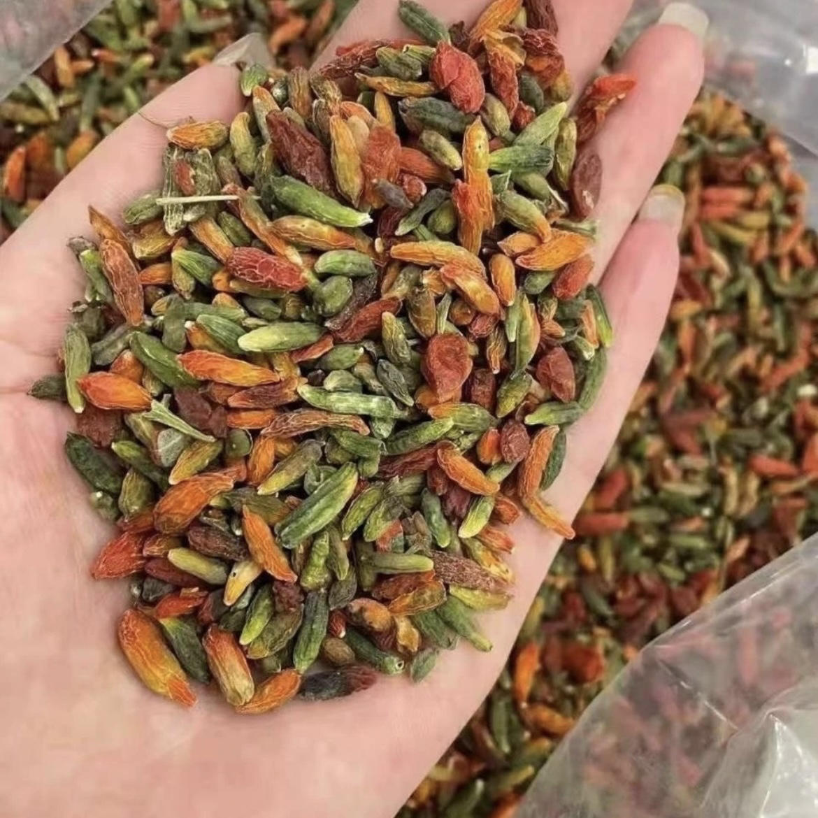 云南山货   七彩枸/杞  农家现收