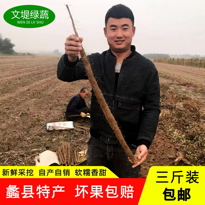 蠡县铁棍山药3斤装40厘米以上农家自产自销新鲜软糯好吃