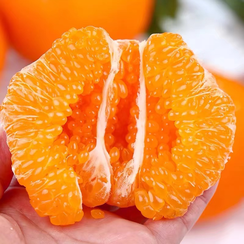 南宁小时达春见耙耙柑水果中的鱼子酱 