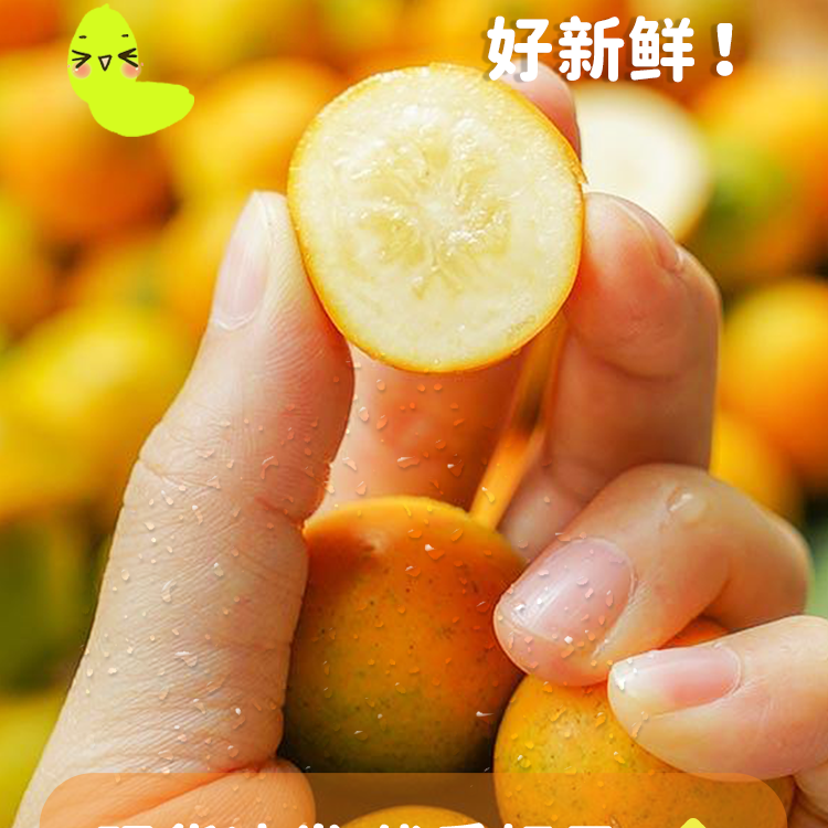 Z广西融安金桔当季新鲜水果滑皮香甜多汁【交个朋友】