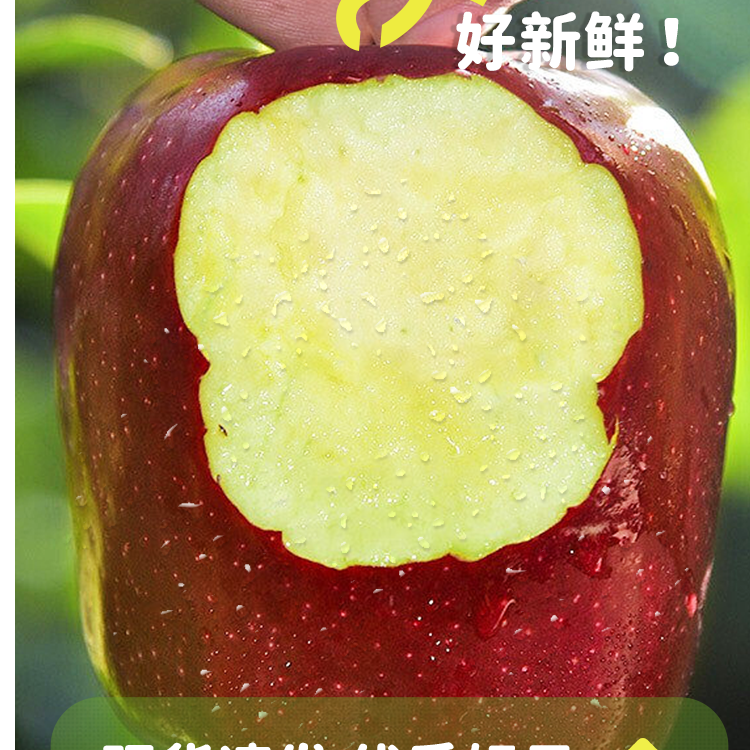 Z甘肃天水花牛苹果粉面红新鲜水果平安果【交个朋友】