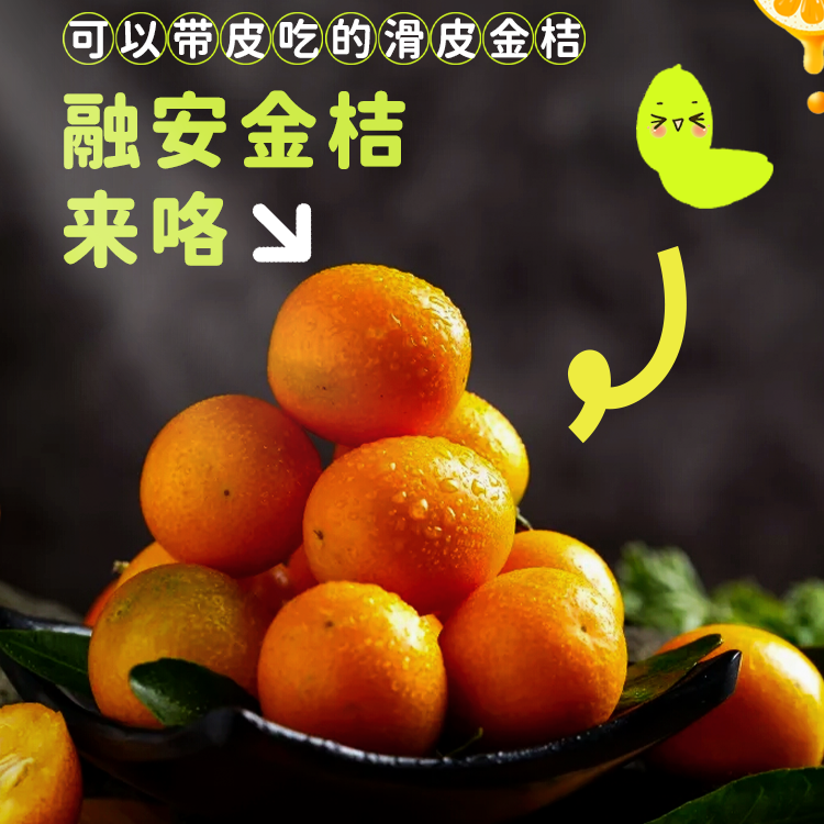 Z广西融安金桔当季新鲜水果滑皮香甜多汁【交个朋友】