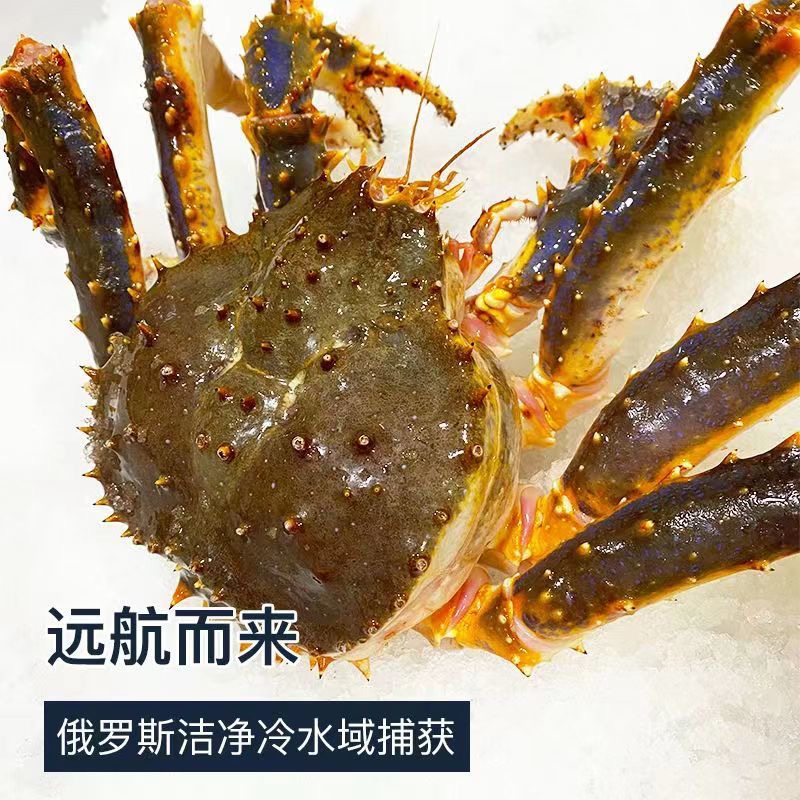 野生鲜活帝王蟹 现场称重 保鲜不保活 不调不换看好下单