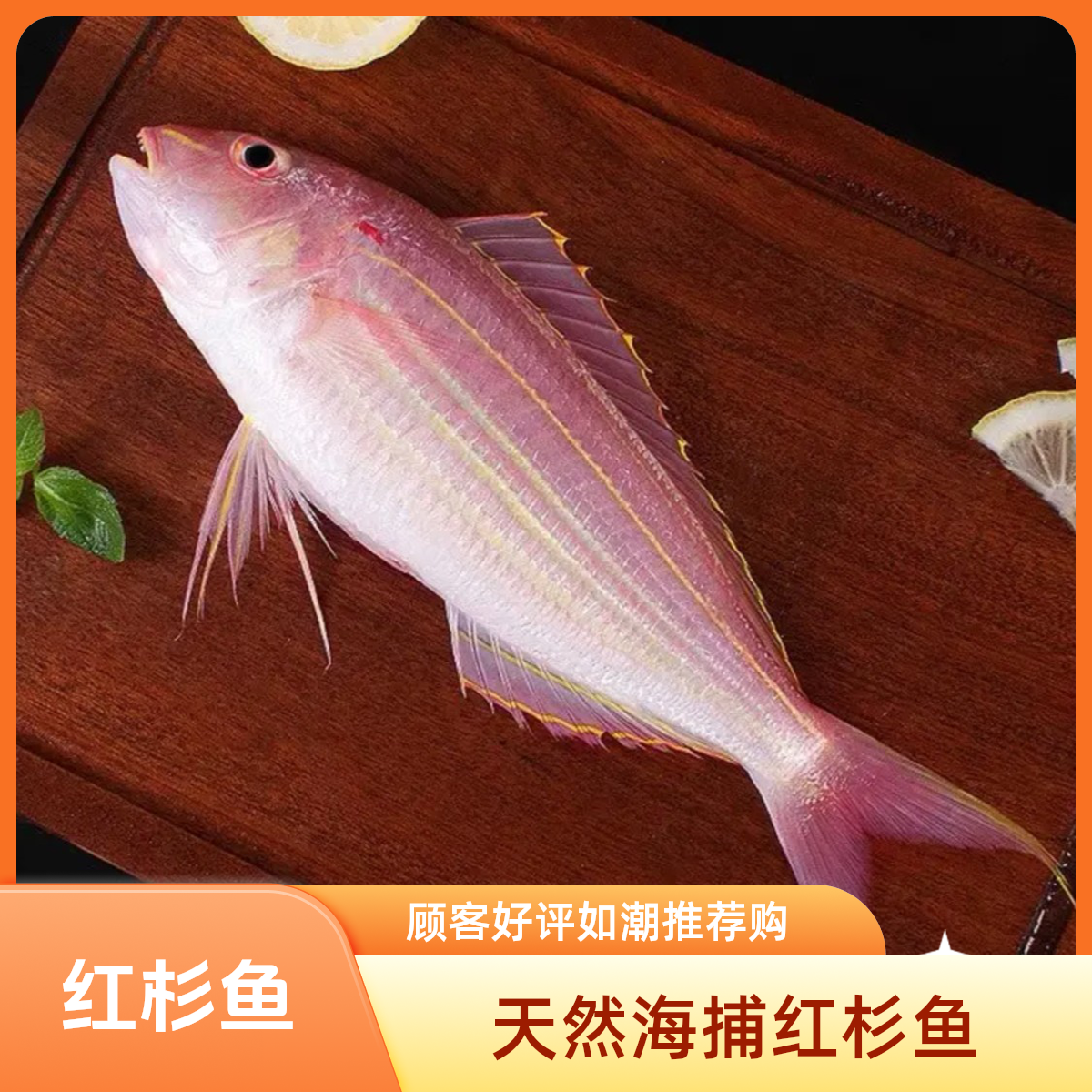 北海天然红杉鱼 