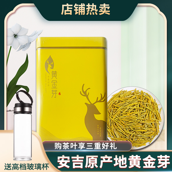2025年新茶安吉原产黄金芽高山浓香早春罐装鲜嫩好茶S1 250g/500g