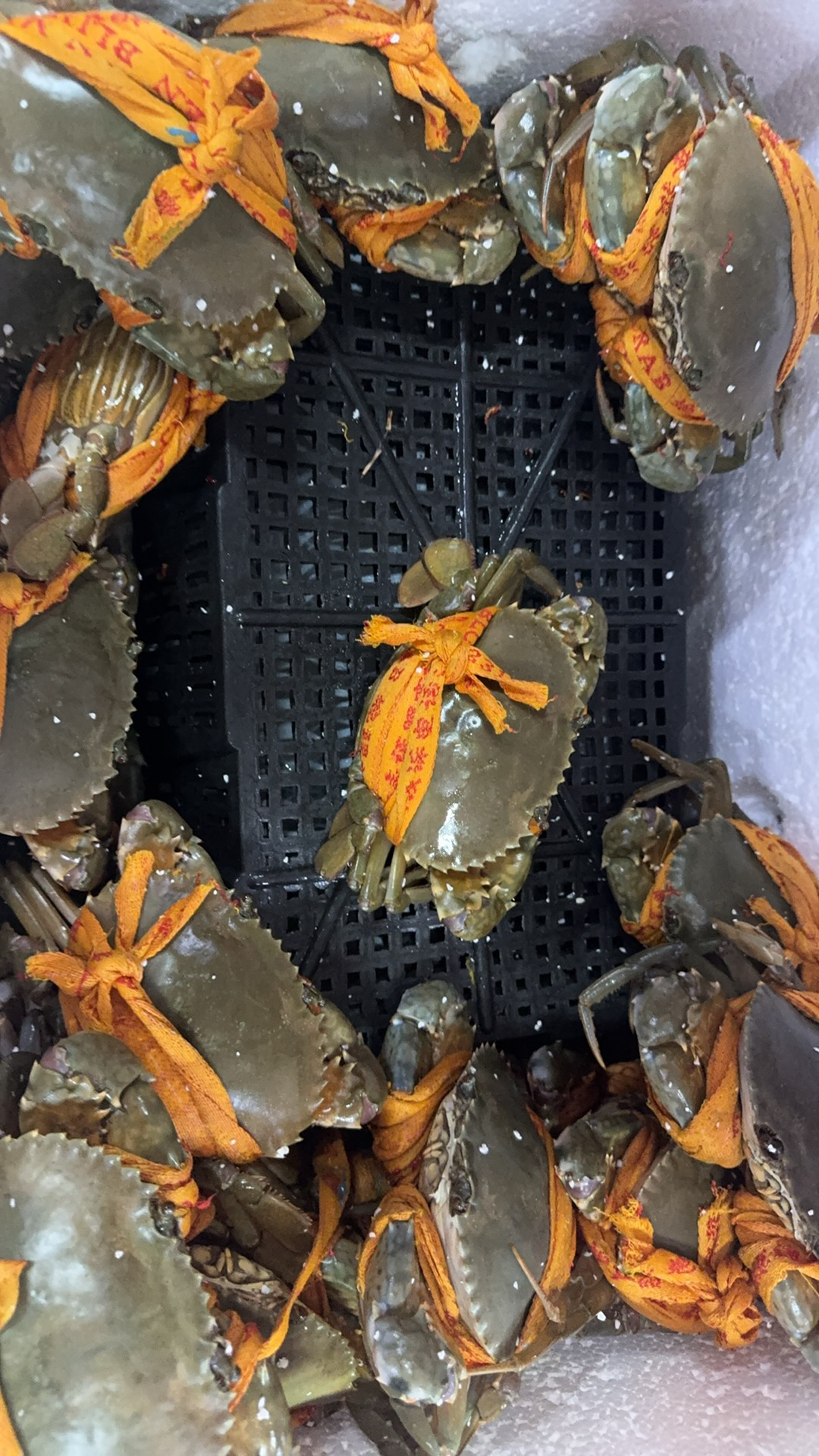 三门青蟹（8两以上;一只）