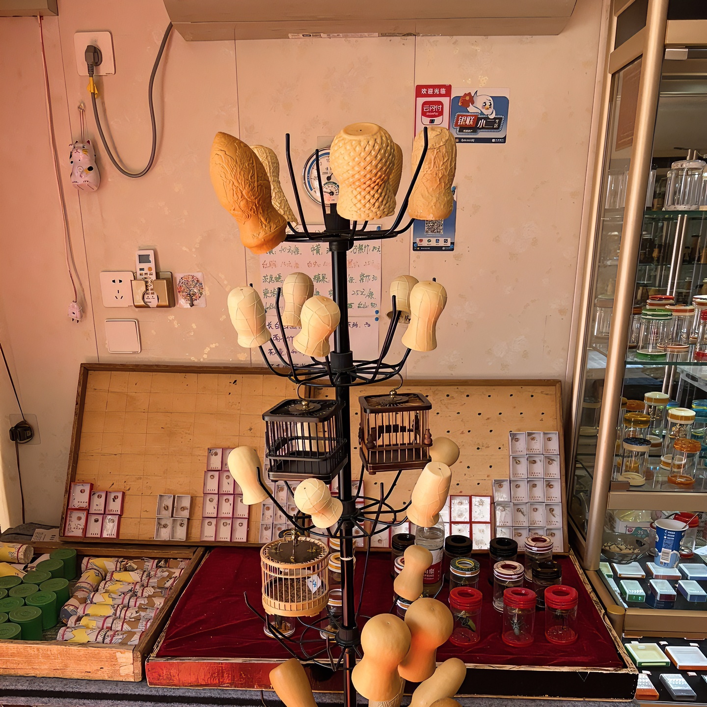 鸣虫葫芦下单专用