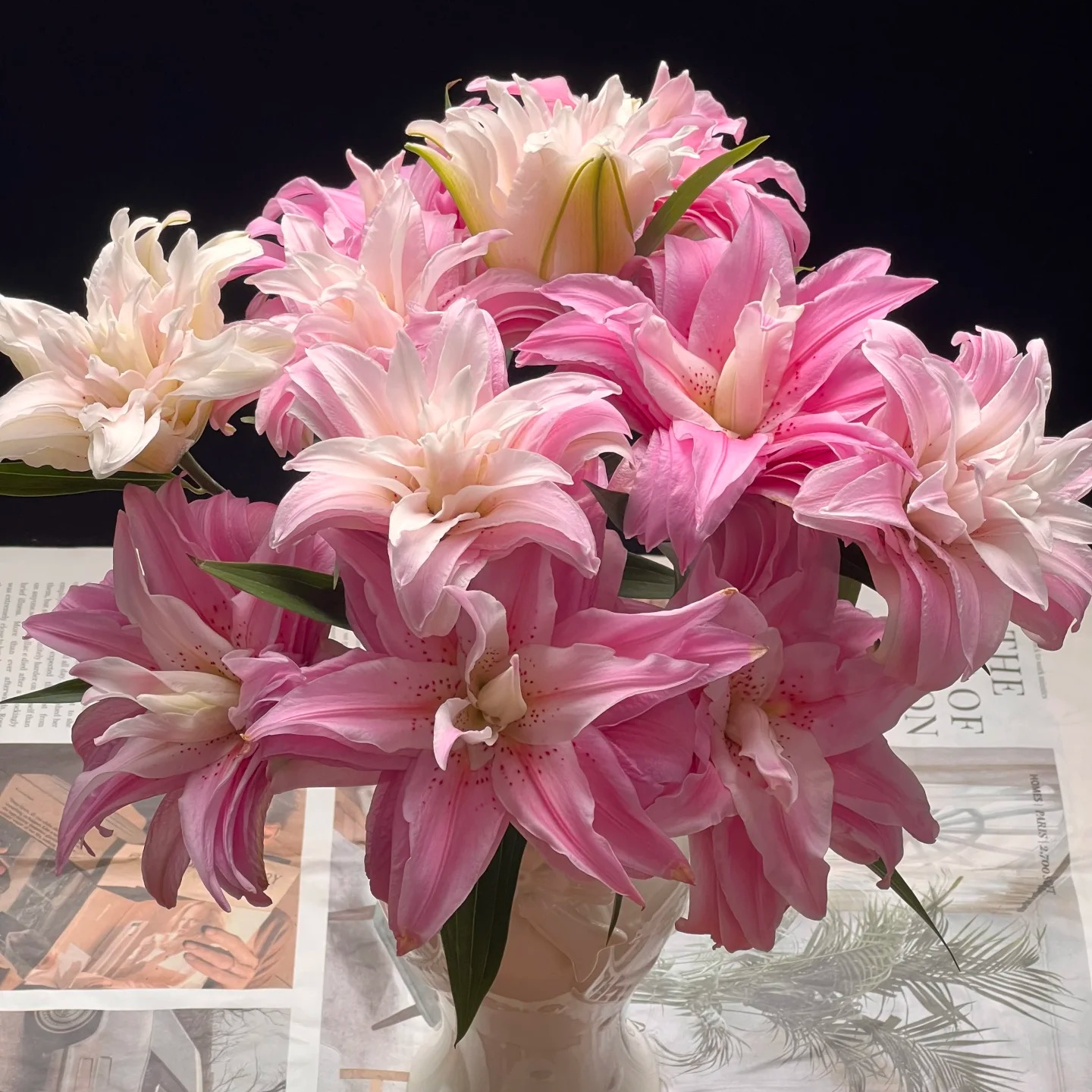 【戴安娜】温度低于5度要拍保温棉 不拍冻坏不售后云南直发水养鲜花