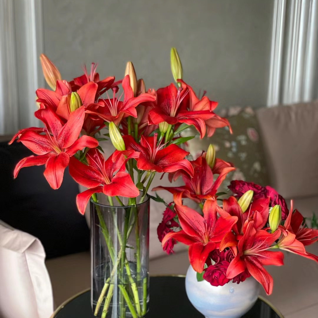 【红宝石】温度低于5度要拍保温棉 不拍冻坏不售后云南直发水养鲜花