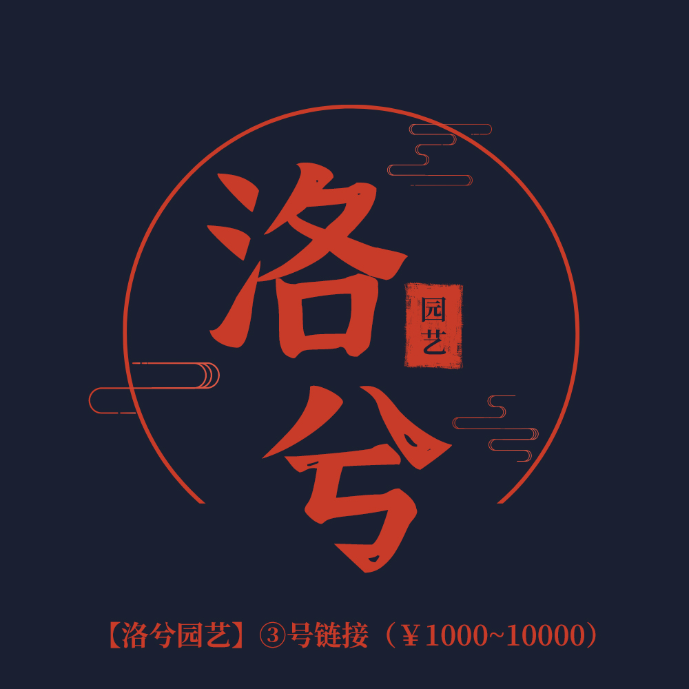 『洛兮园艺』直播间盆景一物一拍③号链接（1000~10000）