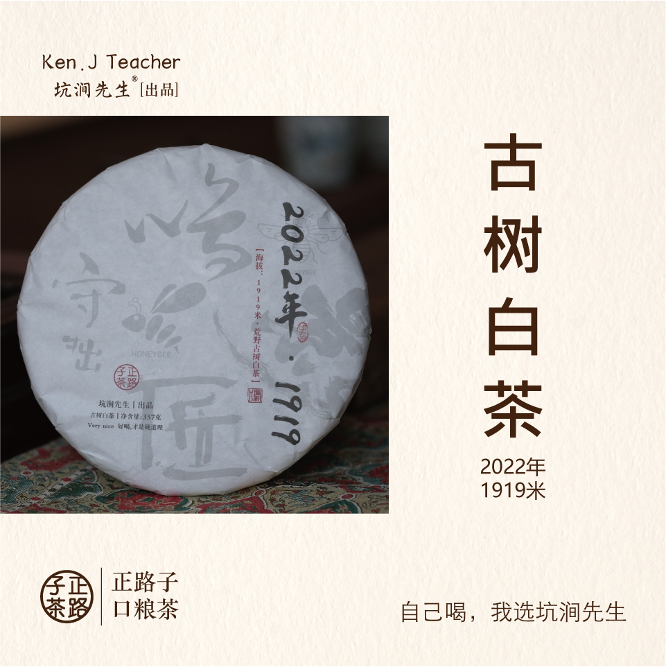 【2022 • 1919 】海拔：1919米 • 荒野古树白茶 饼茶 357g