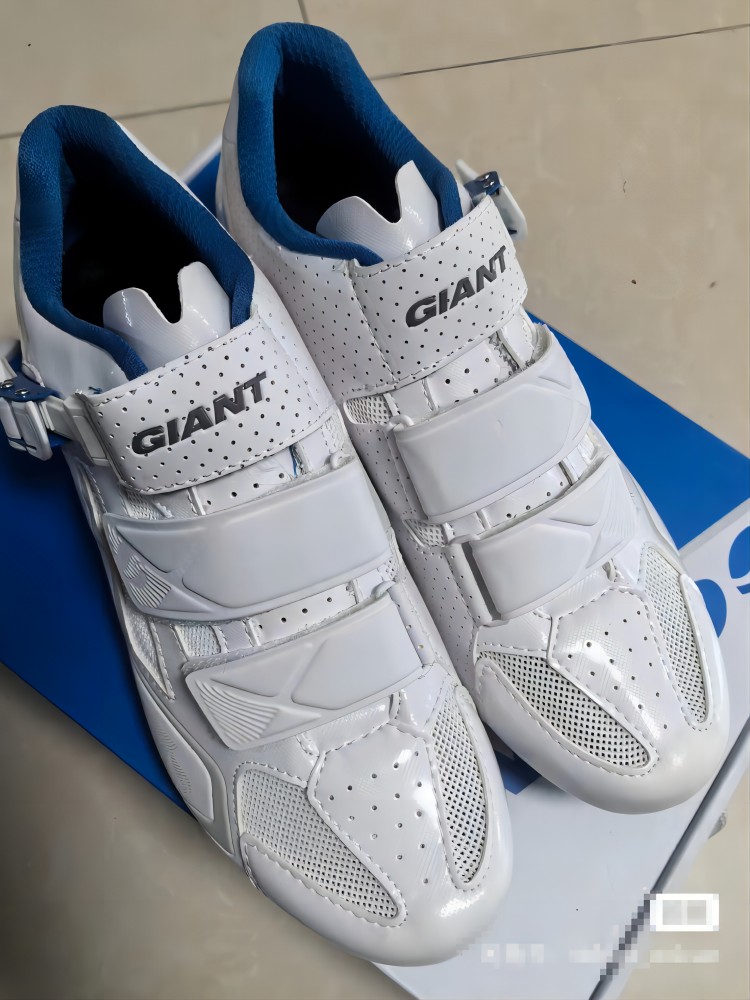 捷安特giant玻璃纤维尼龙材质骑行锁鞋男士训练运动低帮轻便