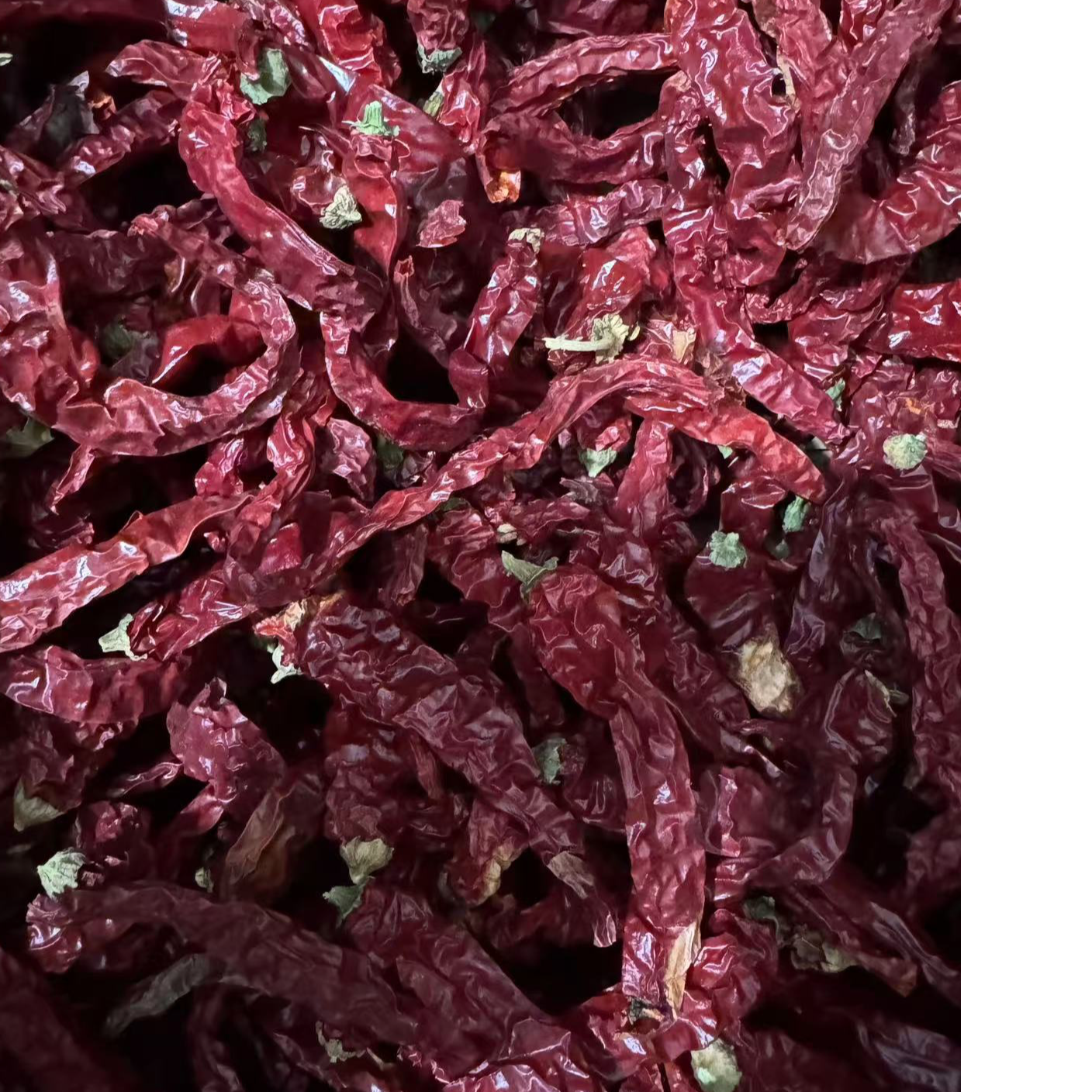 东北干辣椒笨辣椒