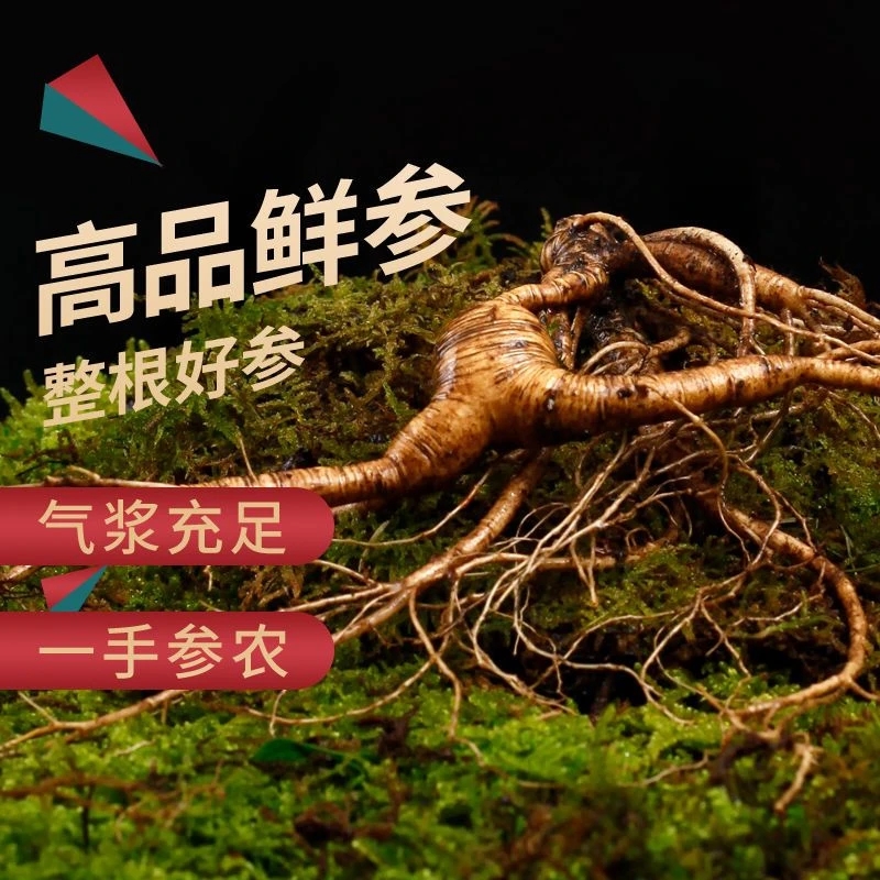 长白山人参，老残参，泡酒参，煲汤参
