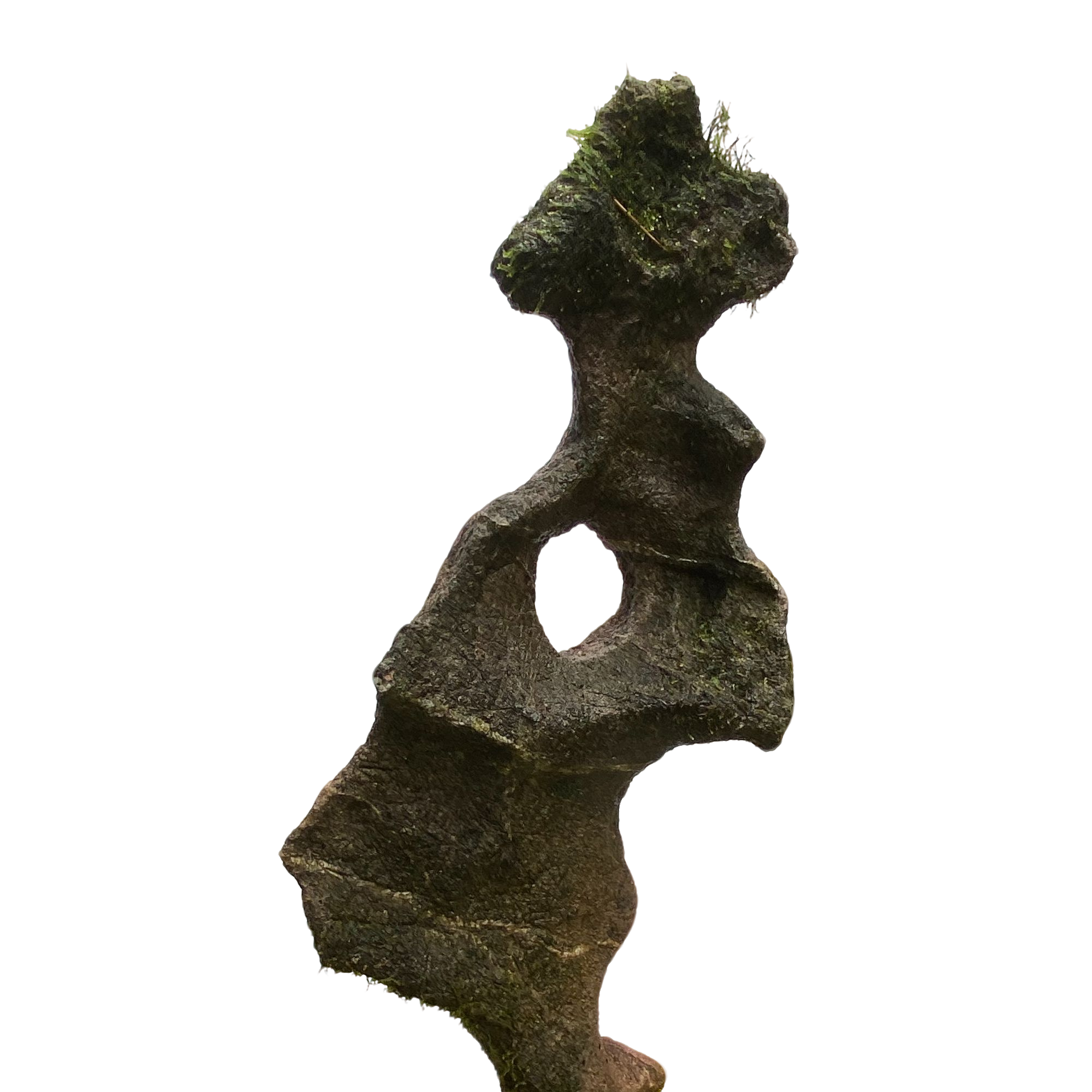 附石盆景（直播间专用链接私自下单无效）一物一拍