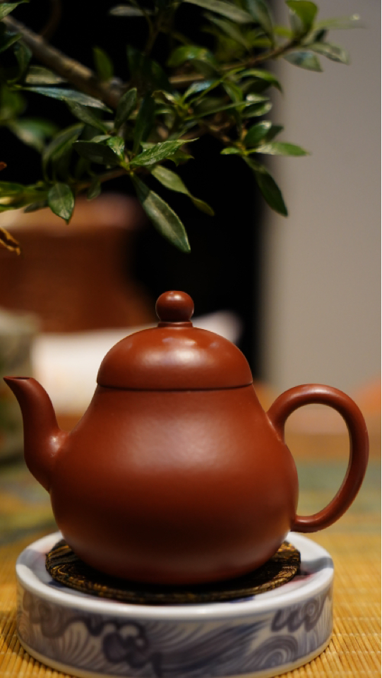 陈柯伊作品 朱泥梨形130cc半手成型
