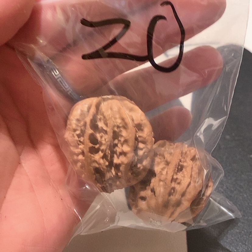 【闪购商品】文玩核桃吊坠