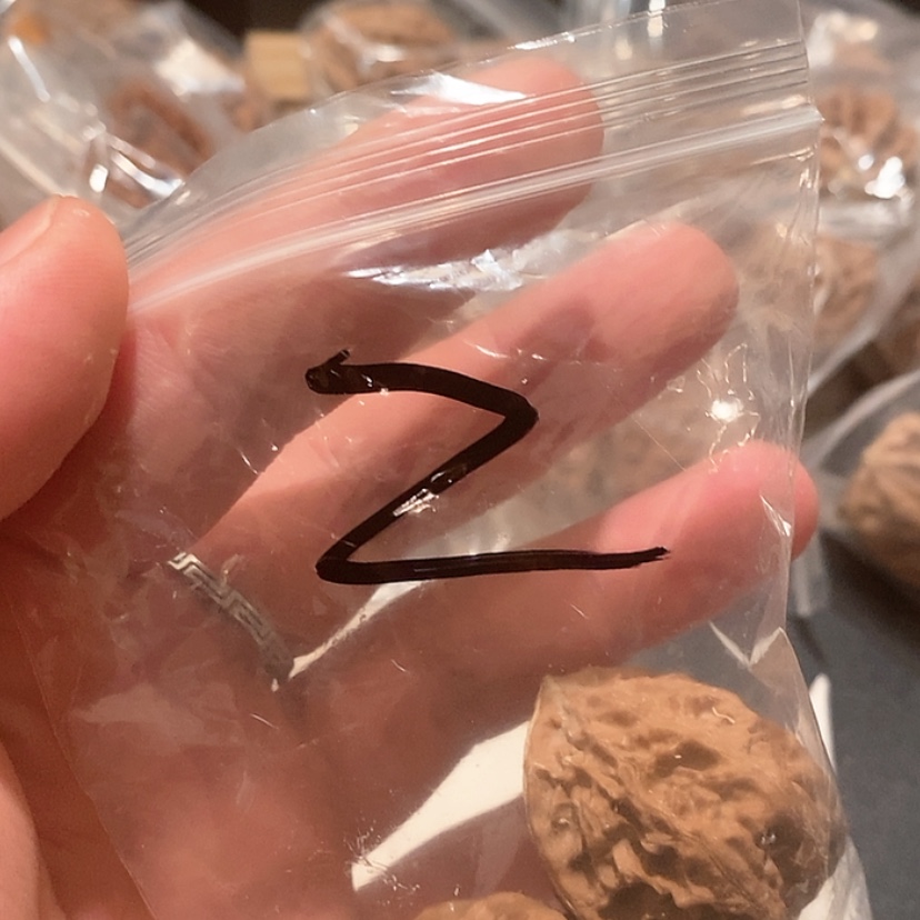 【闪购商品】文玩核桃吊坠