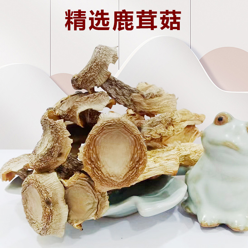 鹿茸菇无硫鹿茸菌脆脆菇香菇蘑菇新鲜菌菇干煲汤汤料营养滋补干货