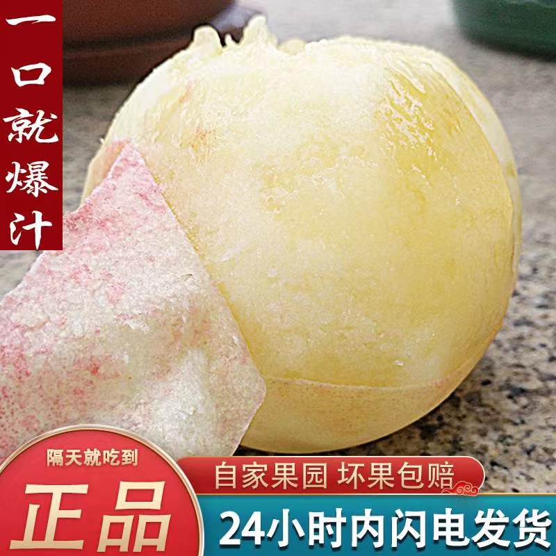 【顺丰包邮】正宗奉化水蜜桃高山湖景玉露现摘现发5-4两8个大果