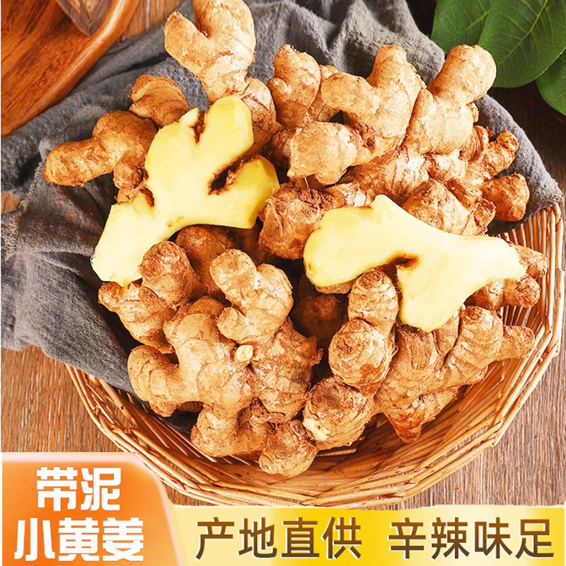 辛辣味足带泥 精选块姜山地小黄姜老姜生姜产地新鲜蔬菜