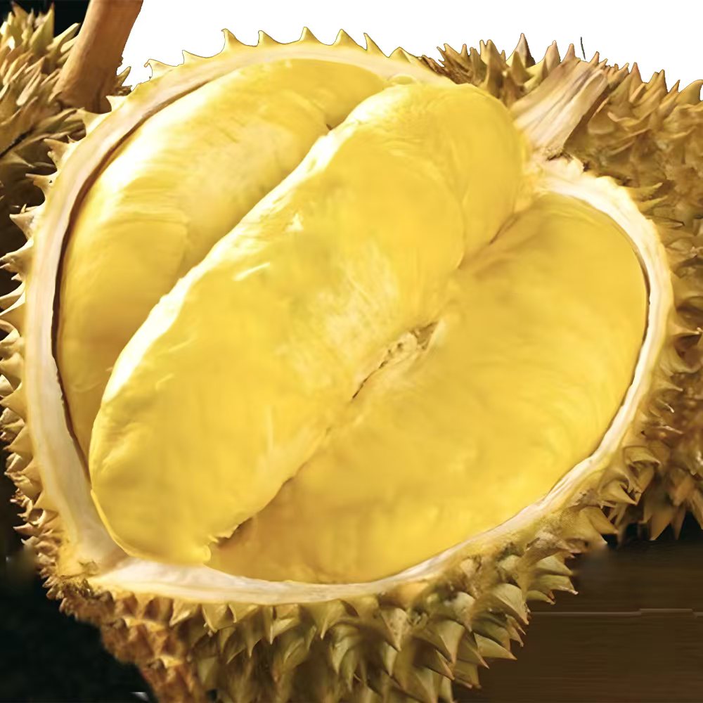 新鲜（整果）金枕榴莲带壳5.5斤（重量误差100克左右）核小榴莲同城配金枕泰国