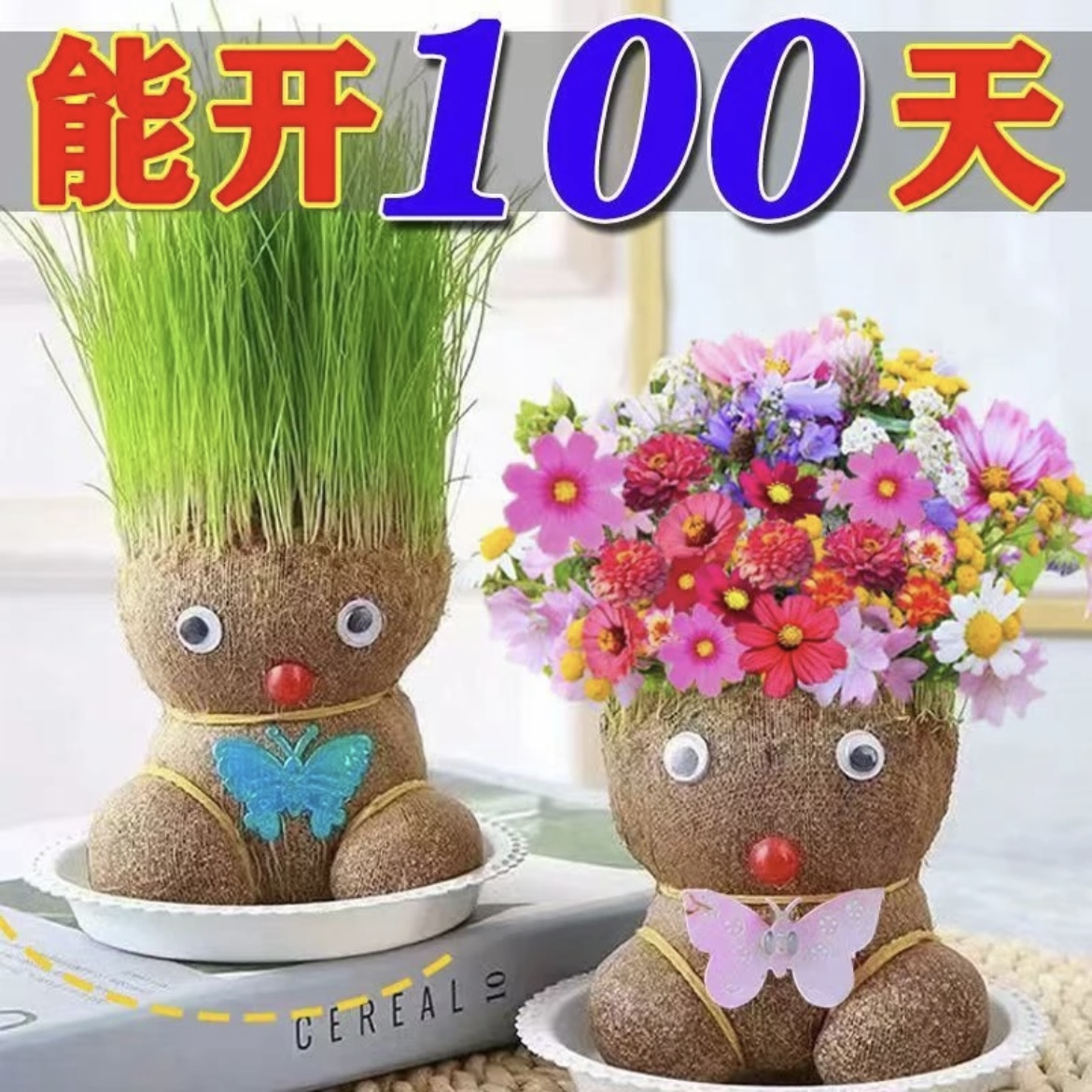 开花长草娃娃草头花头盆栽室内桌面创意迷你水培绿植儿童趣味观察