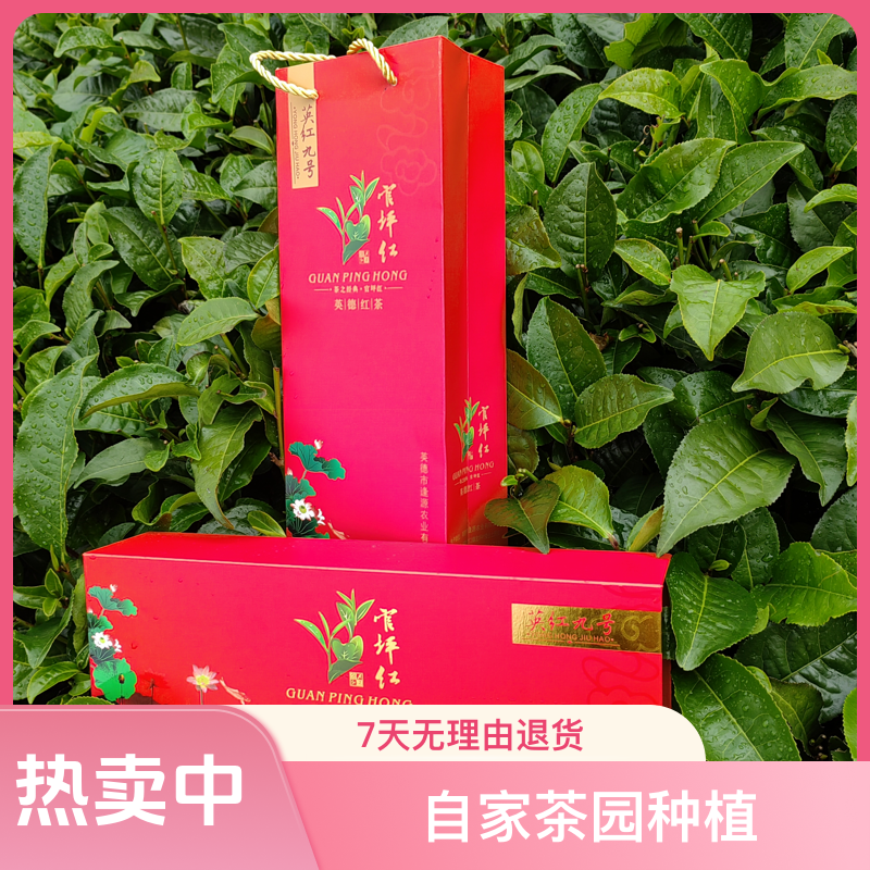 英德红茶~自家茶园英红九号特级茶叶~20小泡装烟条盒~鲜爽
