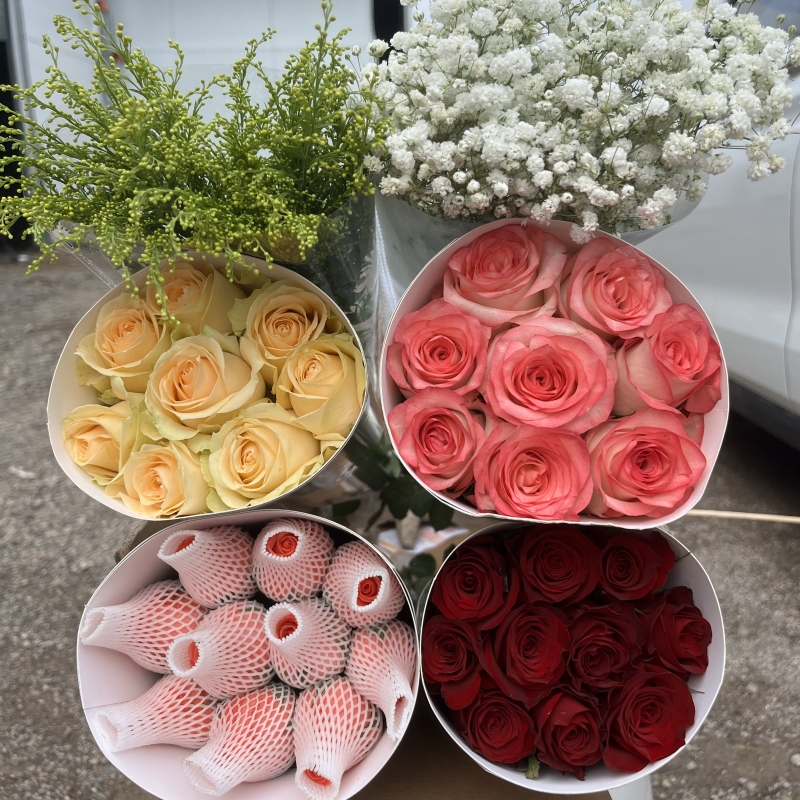 【夏末鲜花】云南鲜花基地现采直发鲜花室内养花