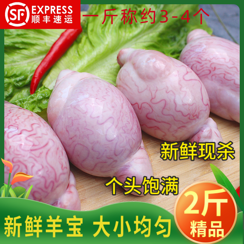 羊宝新鲜羊蛋4/斤现杀羊凹腰羊睾丸烧烤食材大小均匀商用顺丰包邮