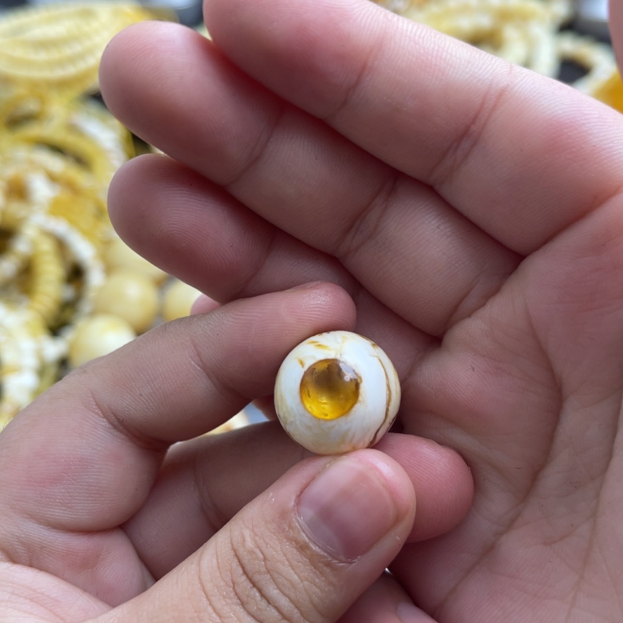 【闪购商品】琥珀珠宝奇石未镶嵌捡****主