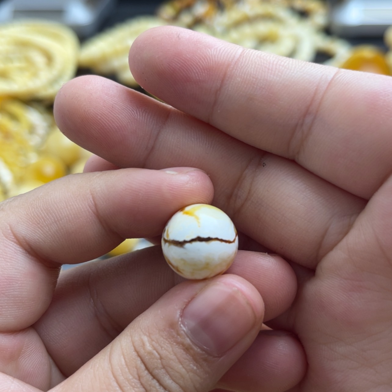【闪购商品】琥珀珠宝奇石未镶嵌这****啊