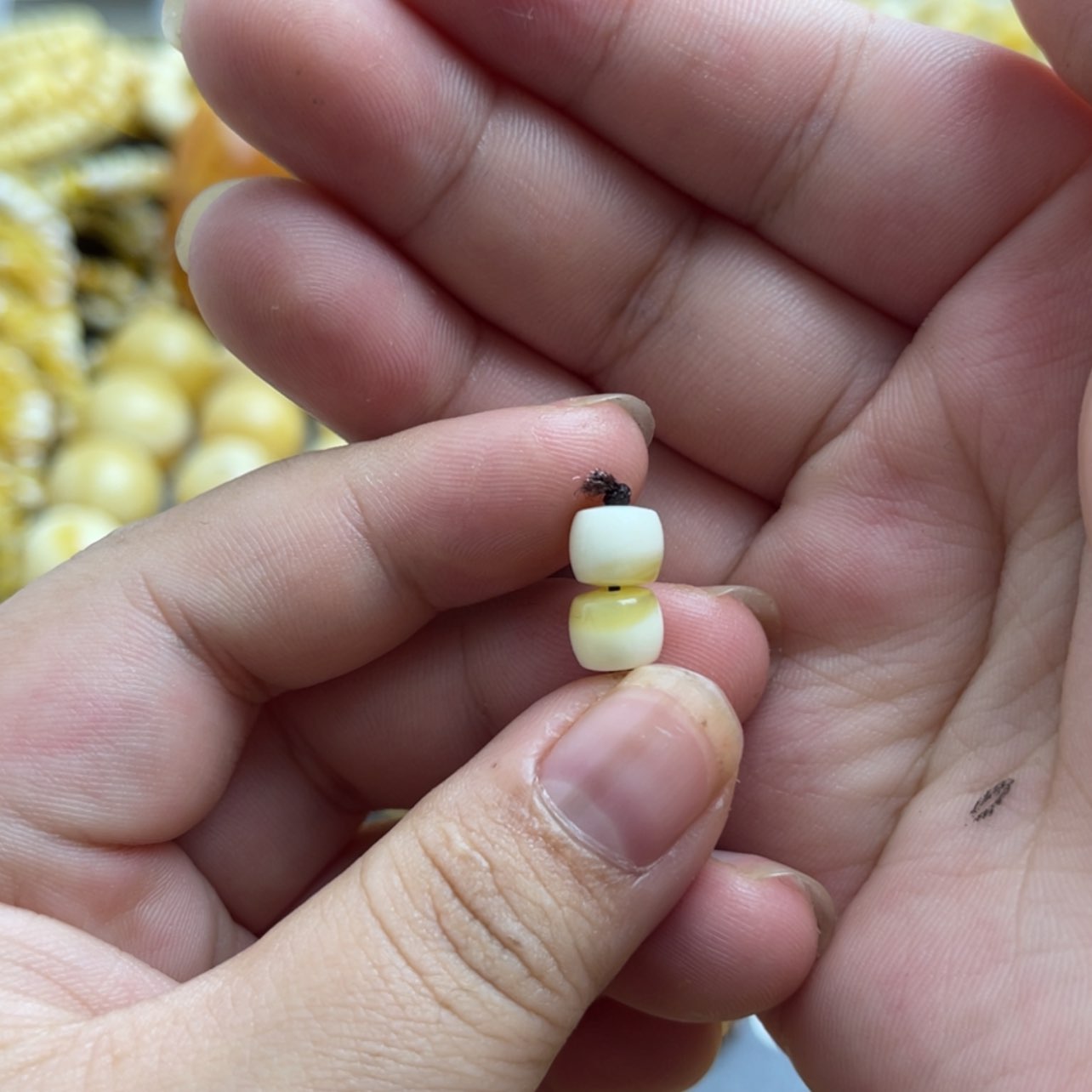 【闪购商品】琥珀珠宝奇石未镶嵌?**迦