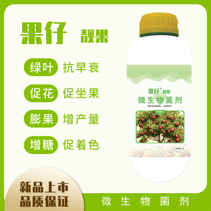 果仔靓果微生物菌剂聚肽螯合工艺促花膨果增糖促早衰绿叶原料优质