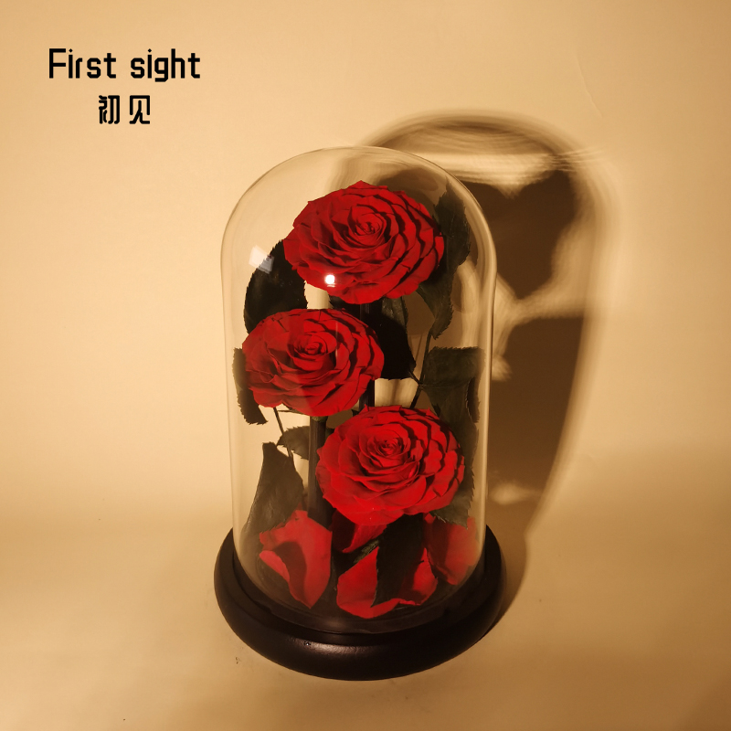 七夕情人母亲节礼物永生红玫瑰花玻璃罩送女朋友生日礼物摆件礼品