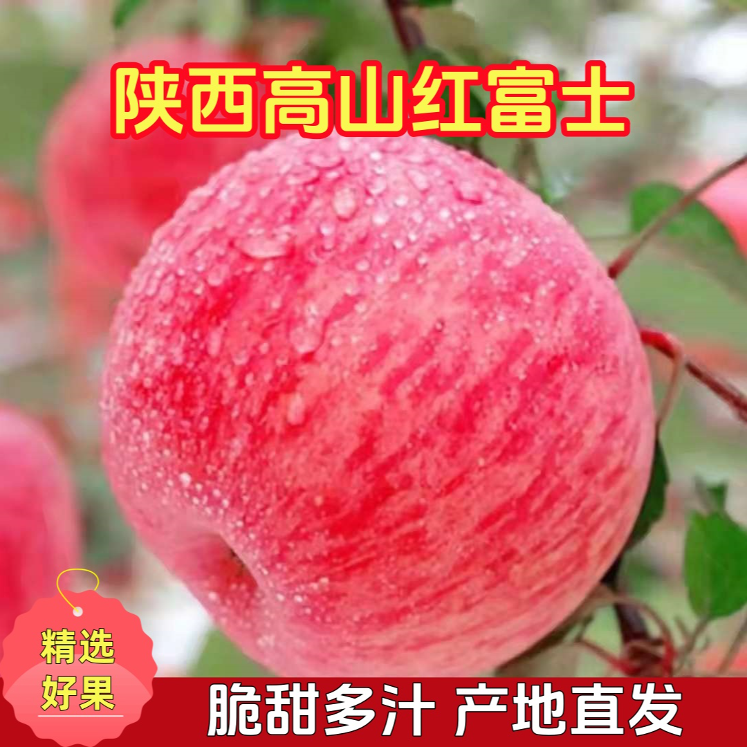 【脆甜多汁】正宗陕西高山红富士苹果脆甜多汁新鲜当季产地直发