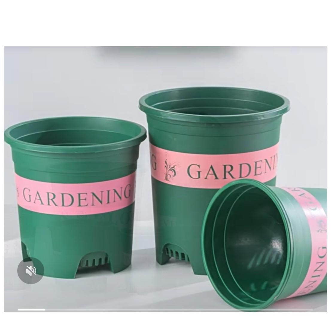 加仑盆长寿花专用12厘米口径(10个带托盘)