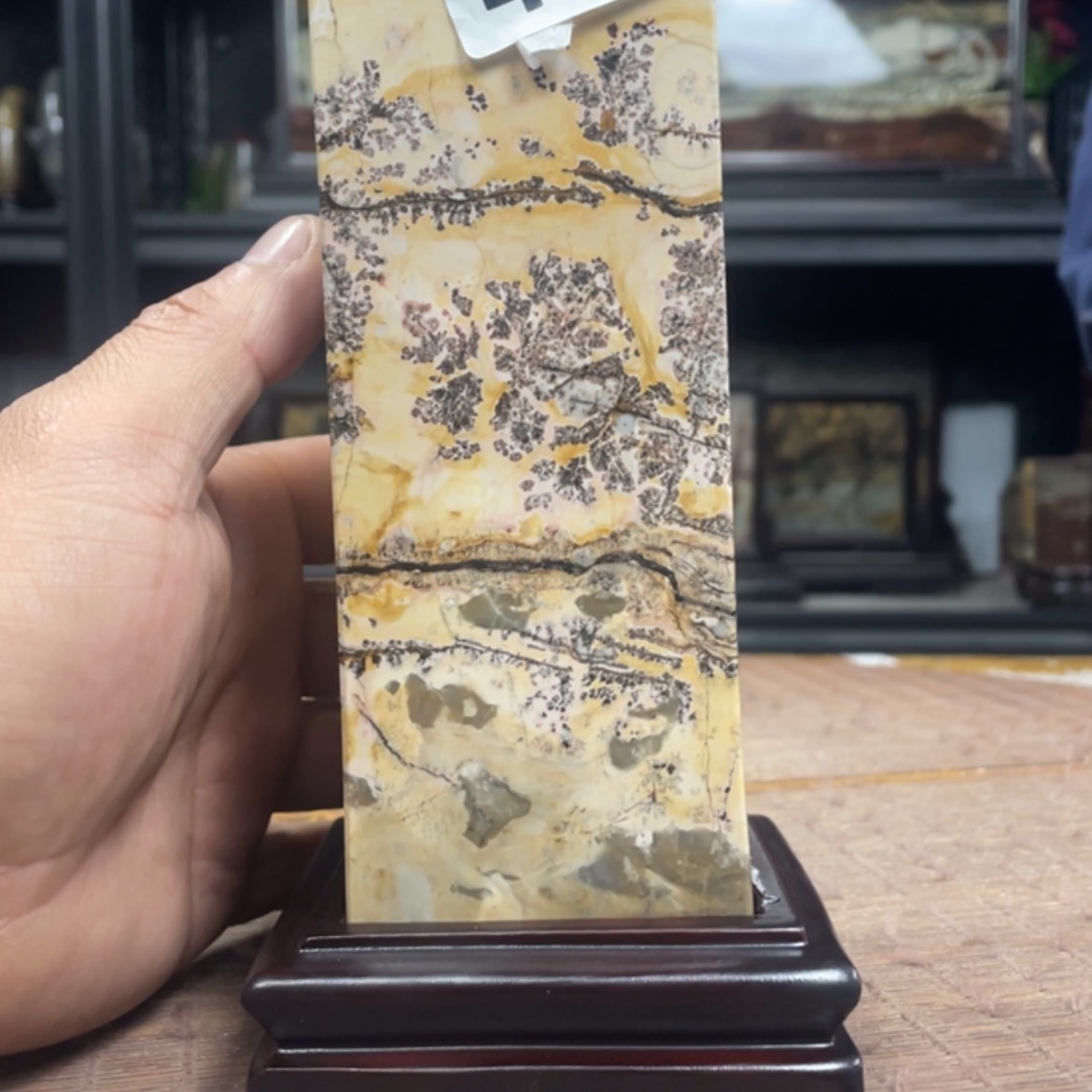 【闪购商品】书法穿****树