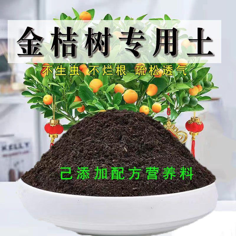 金桔树专用土盆栽有机花土种花绿植营养土壤养花通用种植土肥料