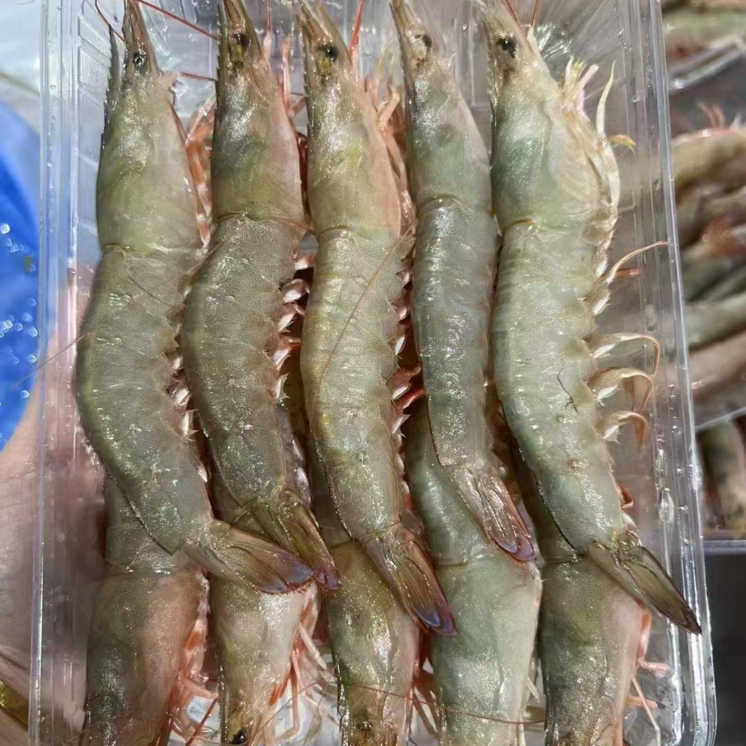 汕尾本港野生 卢虾母带膏  沙虾 麻虾真空鲜冻