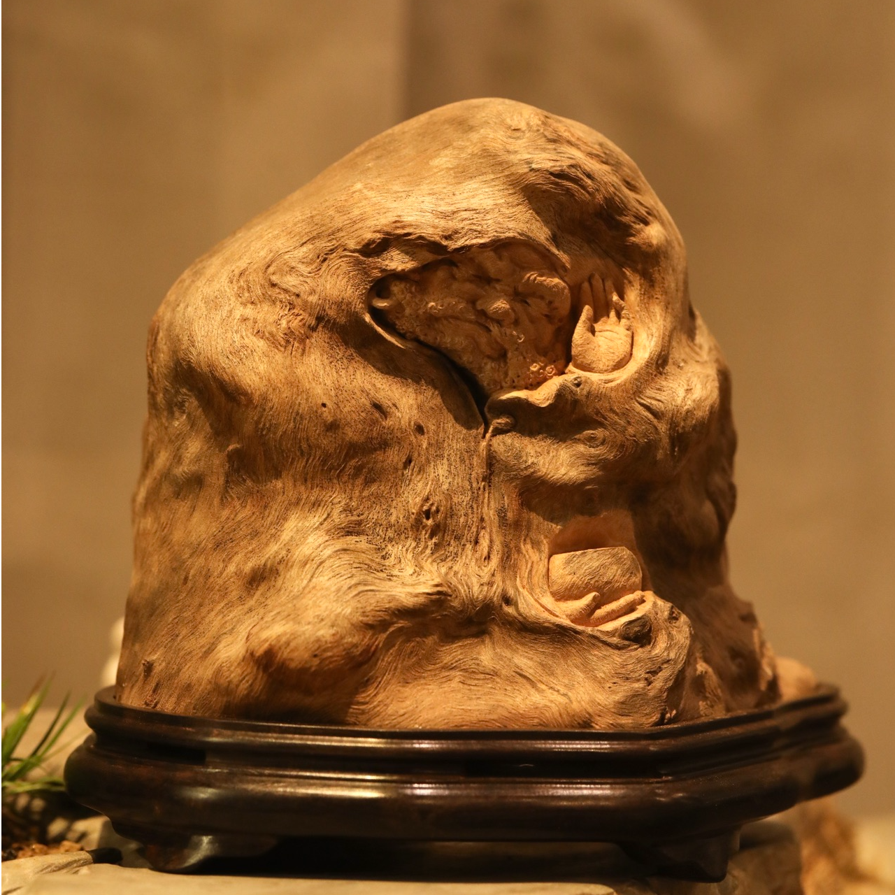 观故禅思达摩  取天然之形 双目微合 左手贴耳 右手托钵 呈沉思状