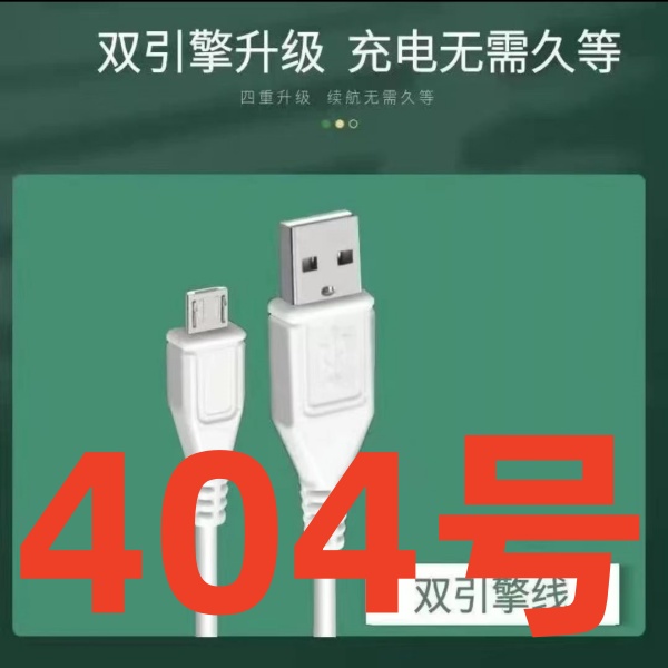 99新  9新（404号） 数据线-以直播间讲解为准