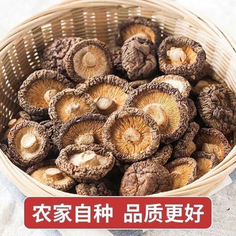香菇干货新货散装肉厚农家特产无根菌菇干货无干燥剂净重一等品
